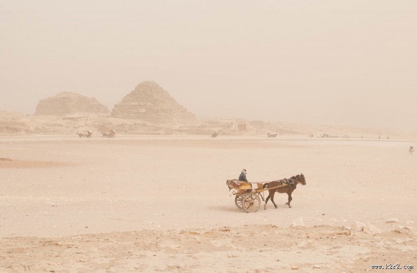 奔驰的骏马图片大全