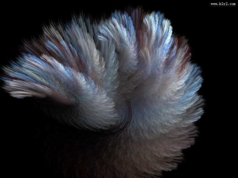 轻盈柔软的羽毛图片