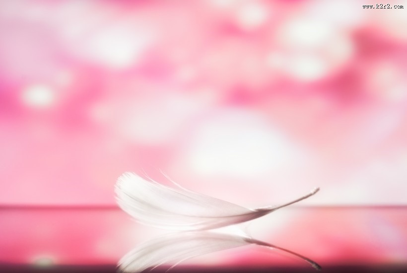 轻盈柔软的羽毛图片