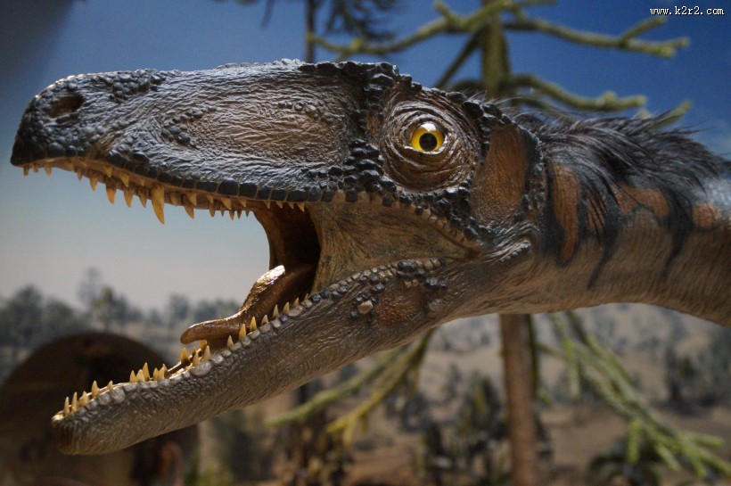 恐龙高清图片