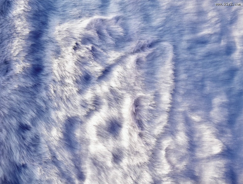 柔软的皮草图片大全