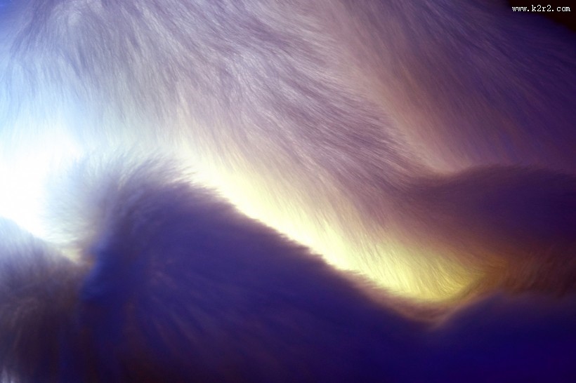 柔软的皮草图片大全