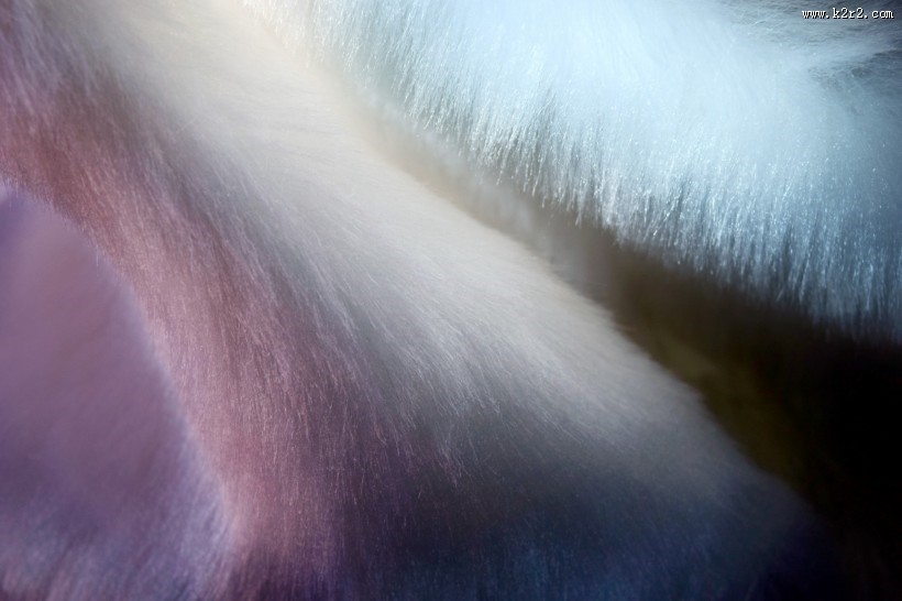 柔软的皮草图片大全