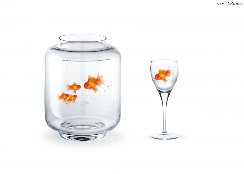 鱼缸中的金鱼图片