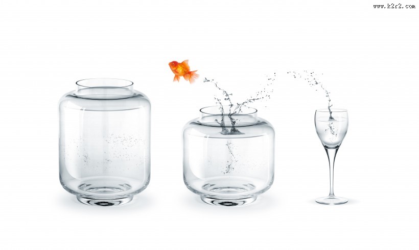 鱼缸中的金鱼图片