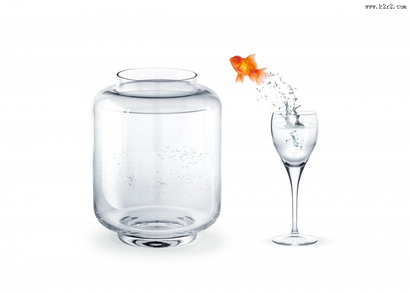 鱼缸中的金鱼图片大全