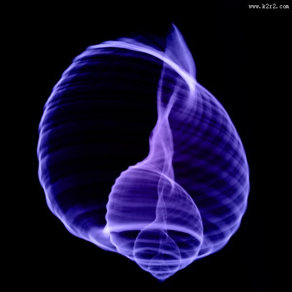 X光下的各种动物图片