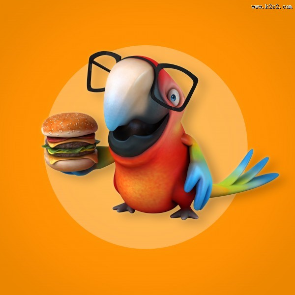 可爱的3D鹦鹉图片