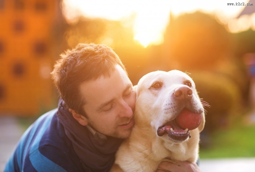 咬着球的宠物狗图片
