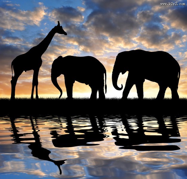 草原动物剪影图片