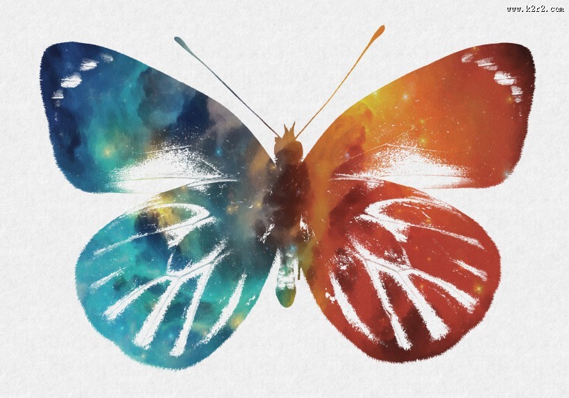 彩色蝴蝶剪影图片