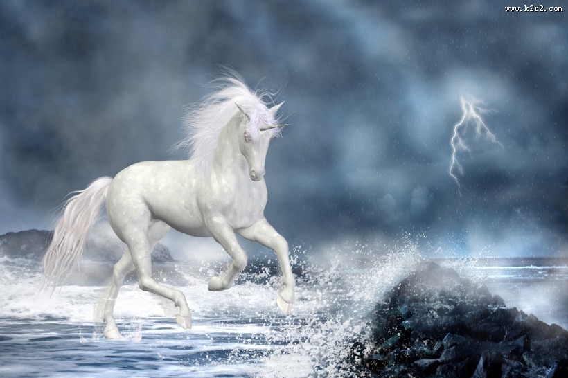 美丽的独角兽图片