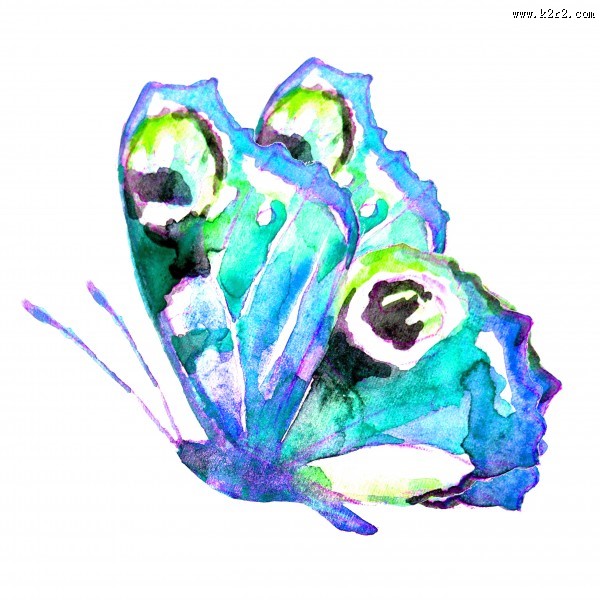 蝴蝶水彩画图片