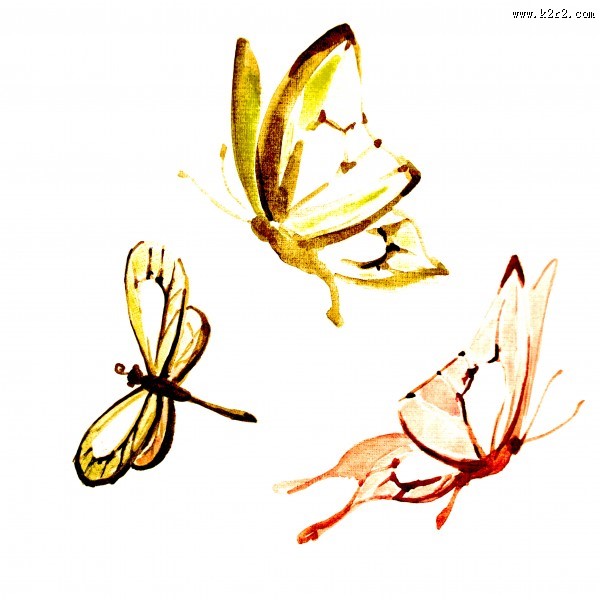 蝴蝶水彩画图片
