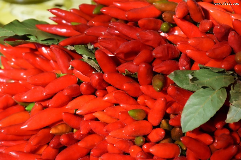 红色辣椒图片