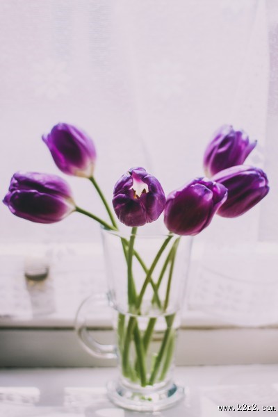 瓶子里的插花图片大全