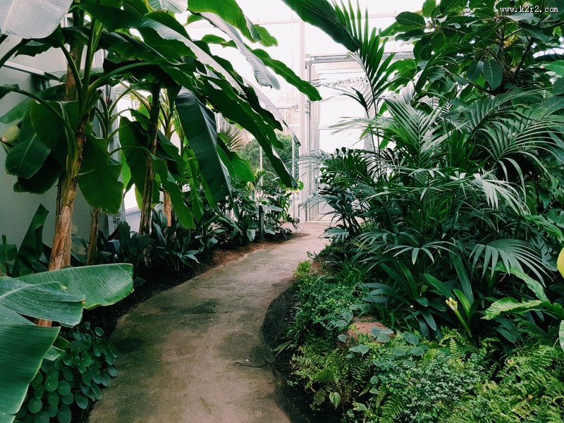 温室花房图片