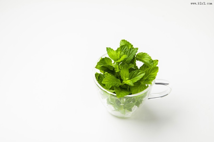 绿色薄荷图片