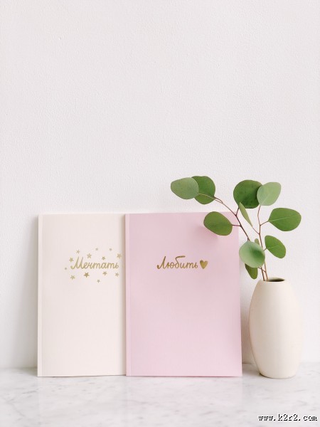 清新的室内盆栽图片