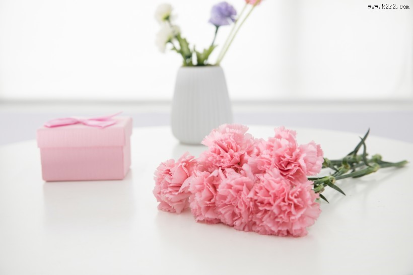 母亲节鲜花康乃馨图片