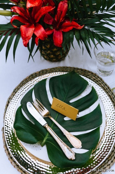 异国情调的鲜花和绿色植物图片