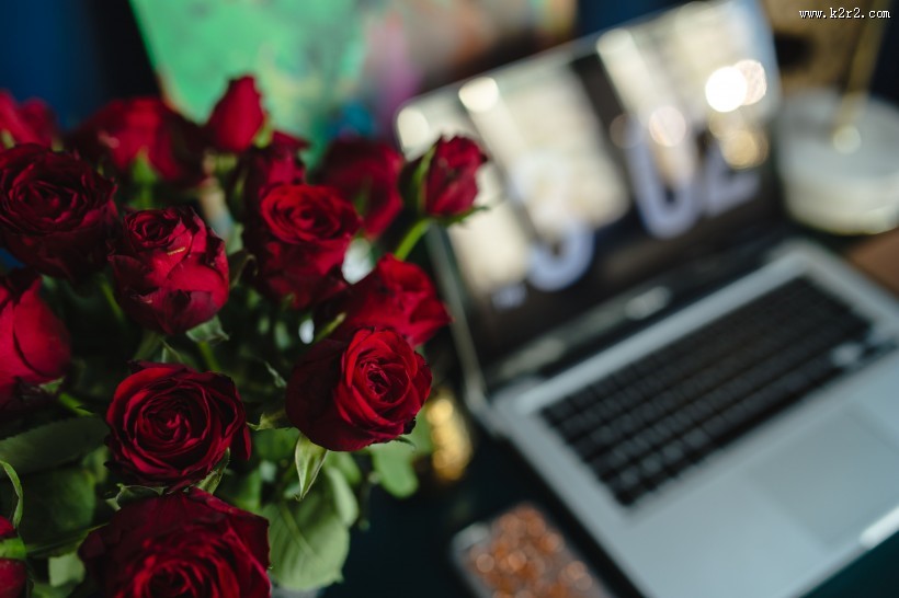 桌上的红玫瑰图片大全