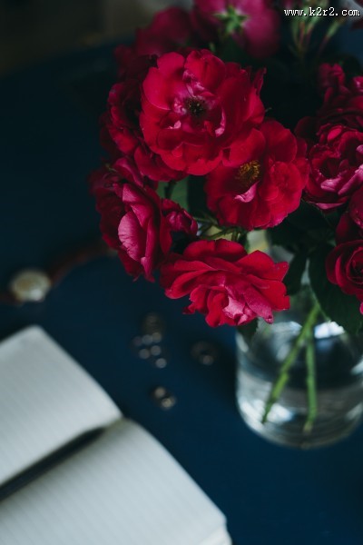 办公桌上的红玫瑰图片