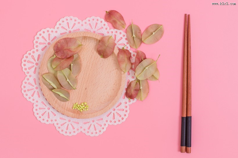 好看的叶子摆拍图片