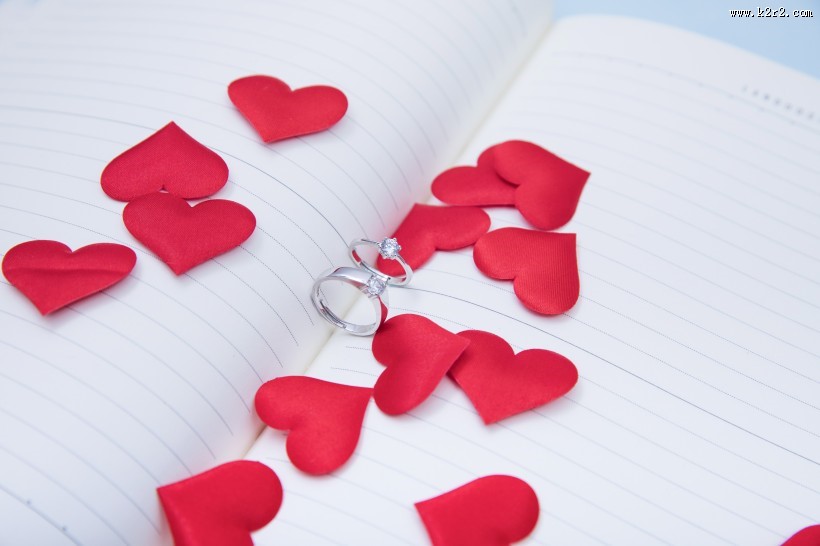 红色的玫瑰花瓣图片