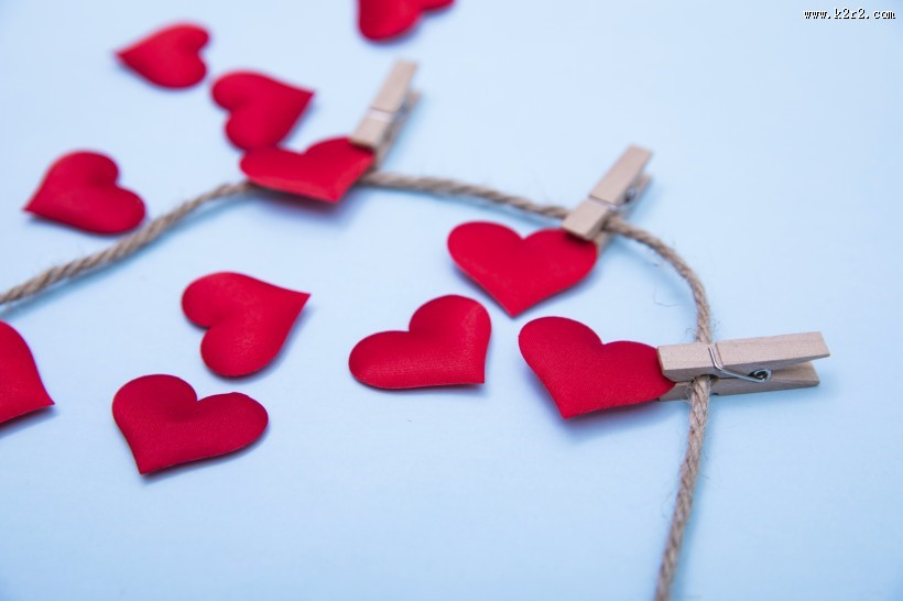 红色的玫瑰花瓣图片