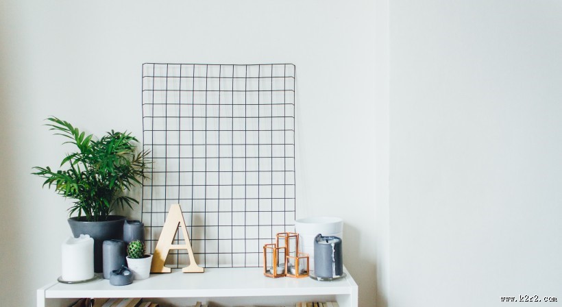 摆放在室内的植物图片