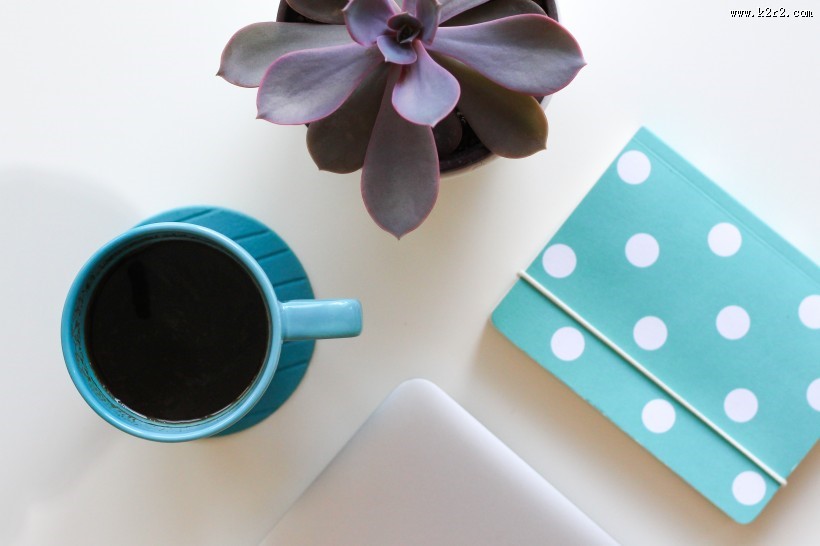 精致的盆栽图片