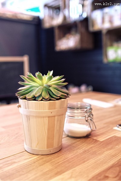 精致的盆栽图片