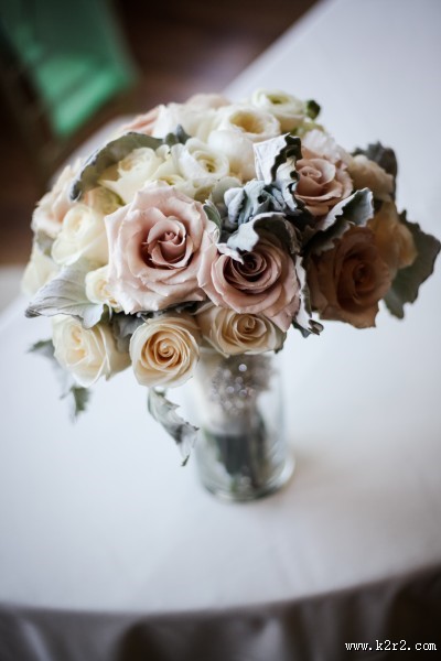 淡雅的玫瑰花图片大全