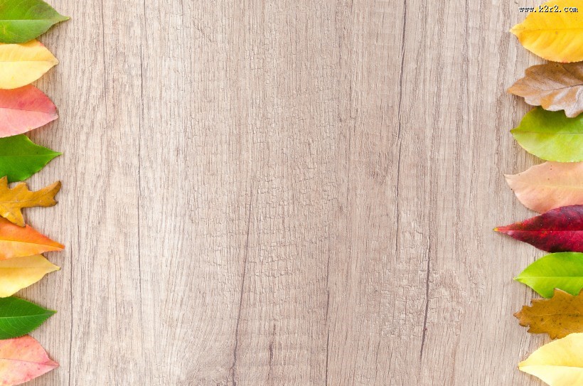 五颜六色的树叶图片