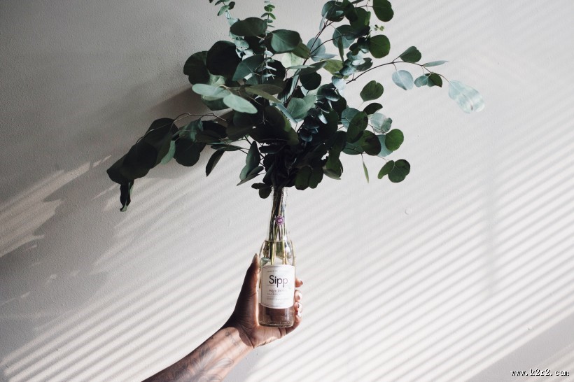 插在花瓶的花的图片大全