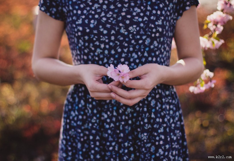 手中的鲜花图片大全
