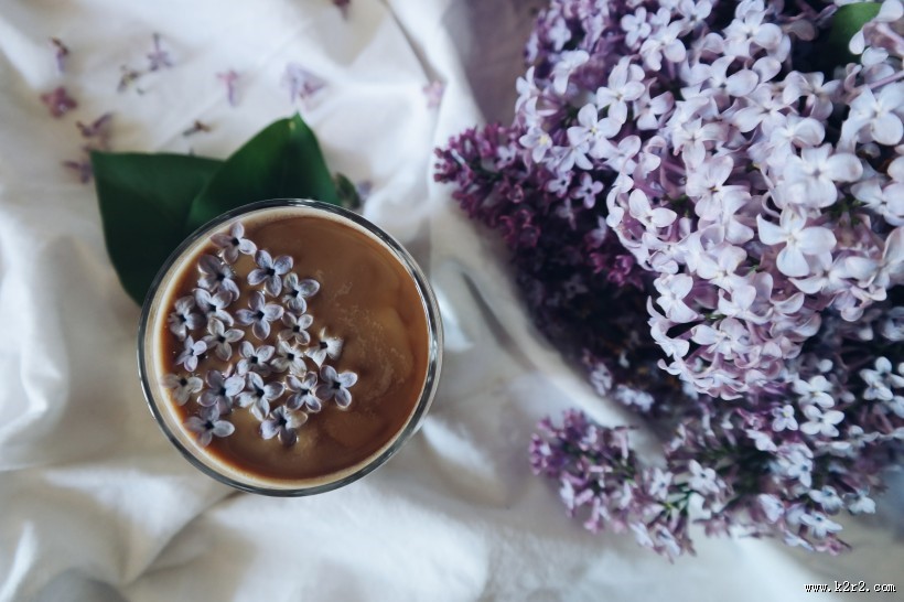 美丽的丁香花图片