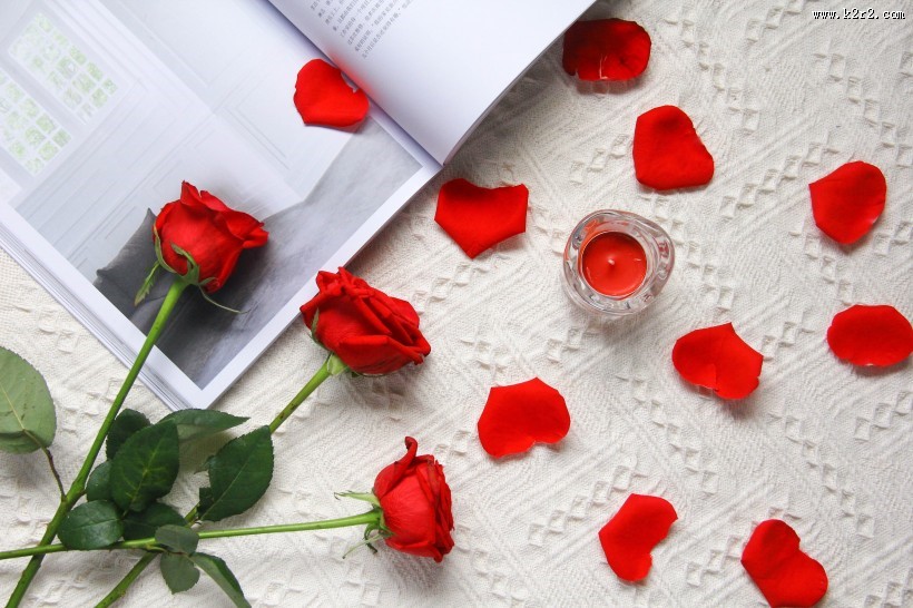 七夕情人节红玫瑰图片大全