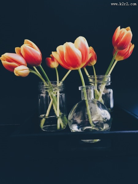 插着花的花瓶图片