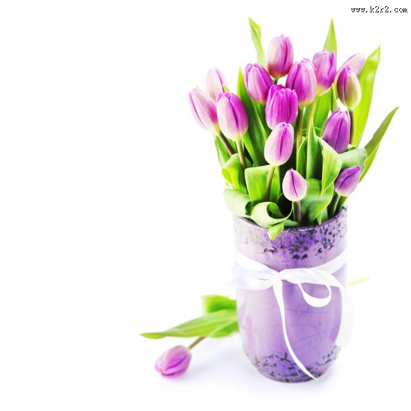 漂亮的郁金香鲜花花束图片