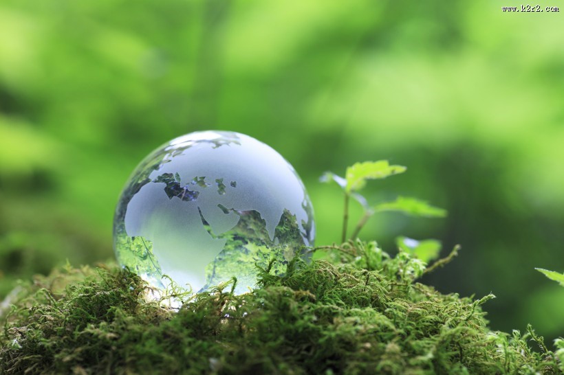 清新绿色植物图片大全