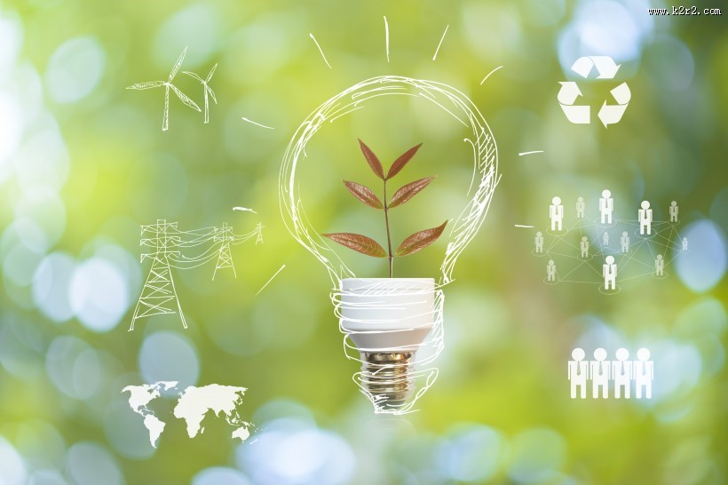 清新绿色植物图片大全