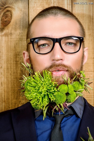 清新绿色植物图片大全