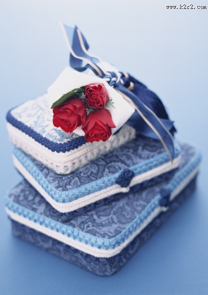 火红色的玫瑰花图片