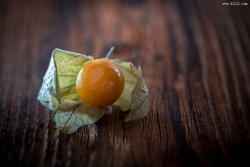 营养丰富的酸浆图片