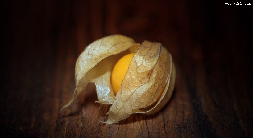 营养丰富的酸浆图片