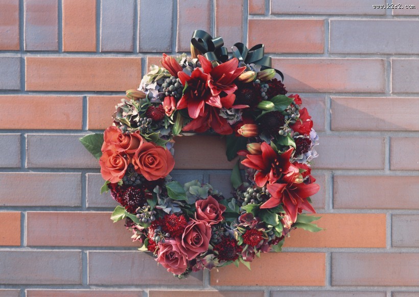 美丽的花环图片