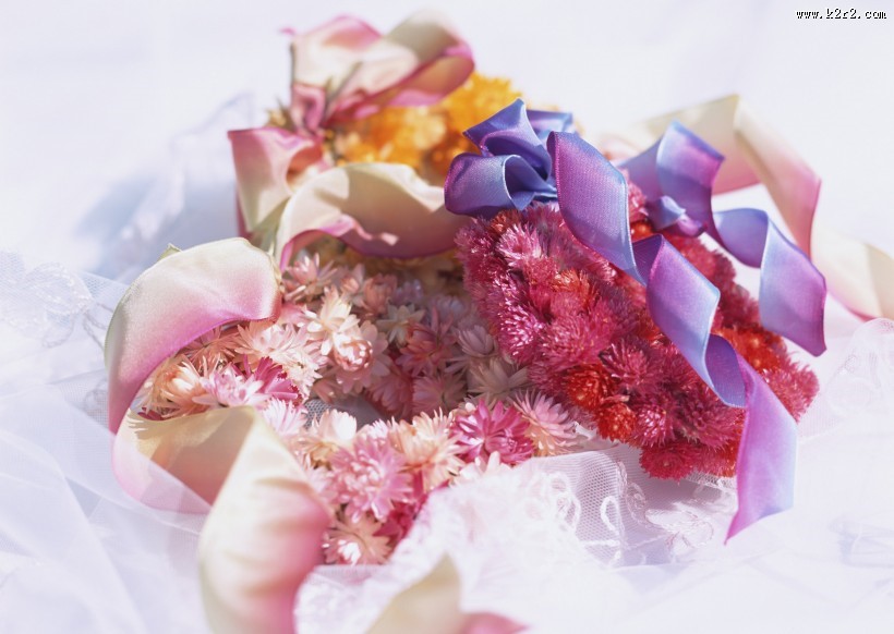 美丽的花环图片