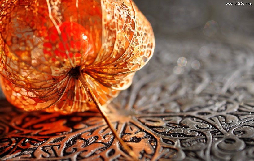 红彤彤的苦姑娘图片